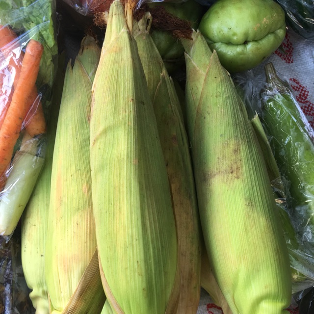 

Jagung manis per-biji