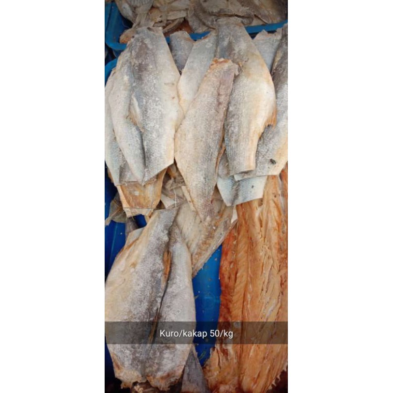 

IKAN ASIN KAKAP #1KG
