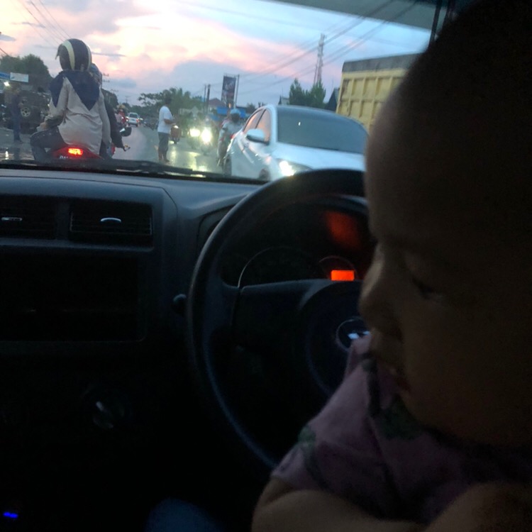 Home Guard Homeguard Cairan Anti Semut 100ml 250ml 500ml