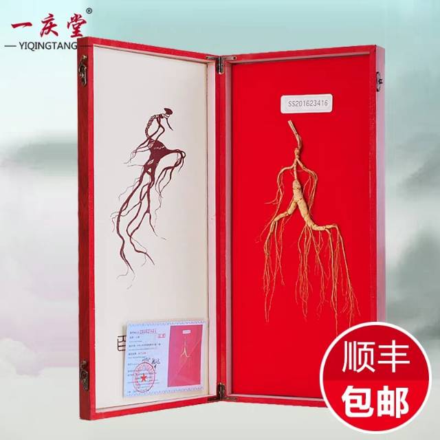 

Gingseng dari china