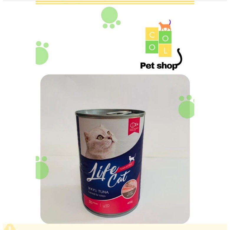 life cat kitten tuna