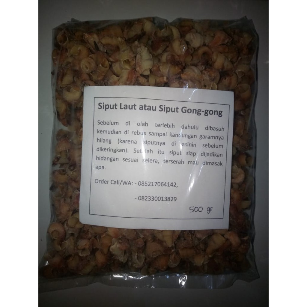 

Siput laut atau siput gong gong 1/2 kg