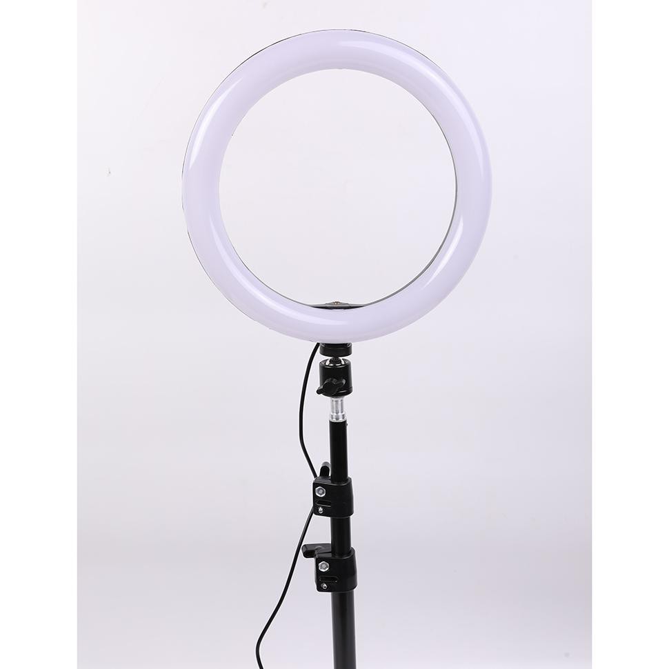 Lamou Ring Light LED Kamera 10 Inch with Smartphone Holder - RL-25 - White
