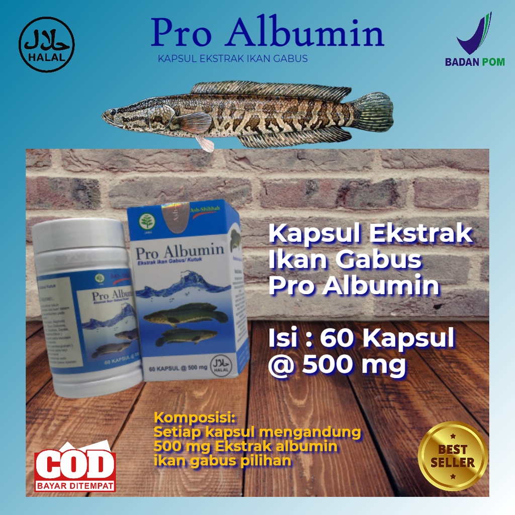 Pro Albumin Kapsul Ekstrak Albumin Ikan Gabus 60 Kapsul BPOM Asli - Ekstrak Minyak Ikan Gabus - Obat