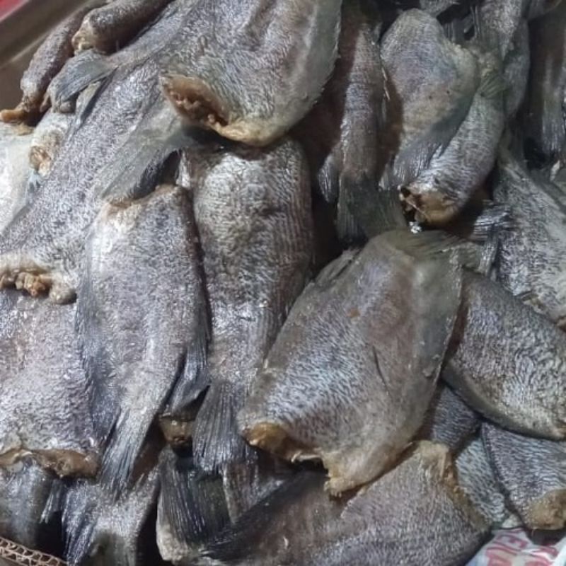 

Ikan Asin Sepat Jumbo Sedang Biasa 250 gram SAYUR GEDEBAGE PRAKTIS BANDUNG