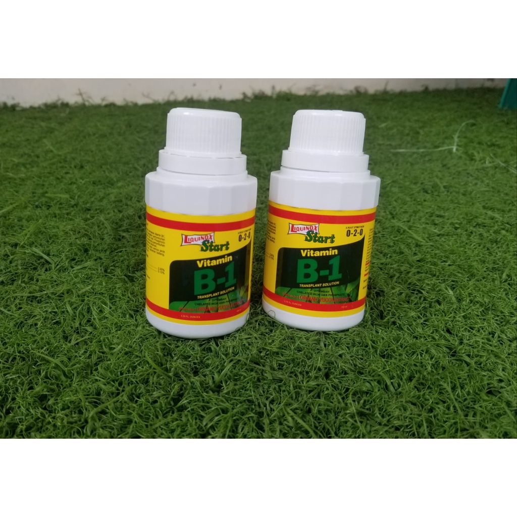 Vitamin B1 Tanaman 100ML Liquinox Original Anti Stres Tanaman dijamin ori kemasan asli pabrik