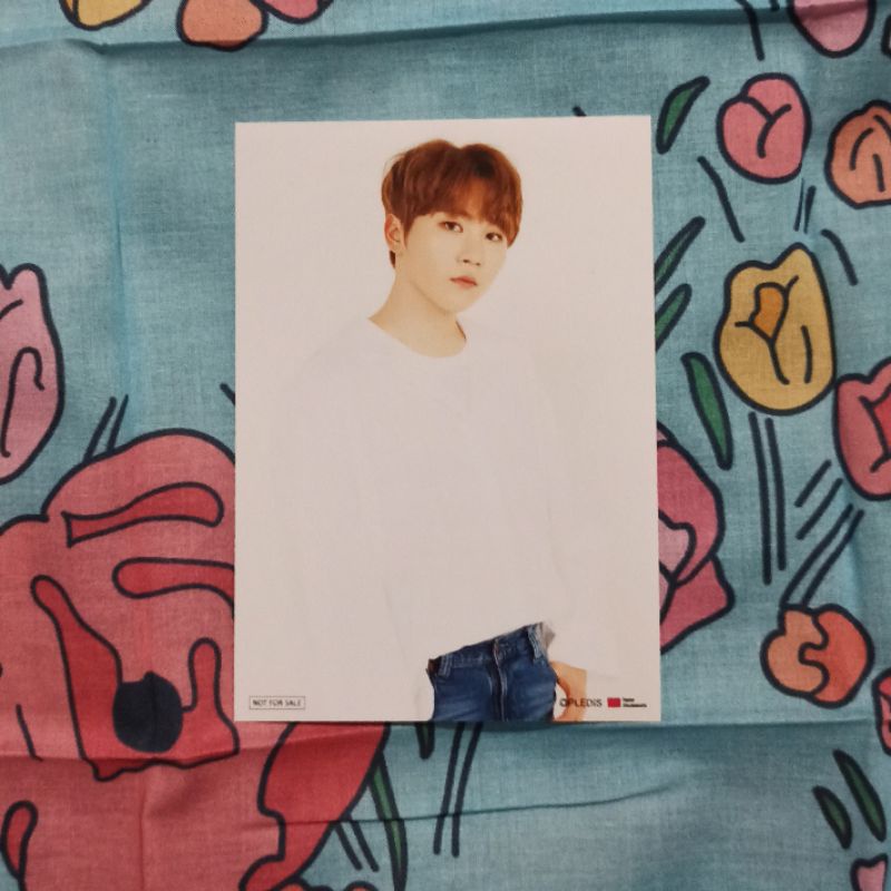 bromide museum seungkwan seventeen