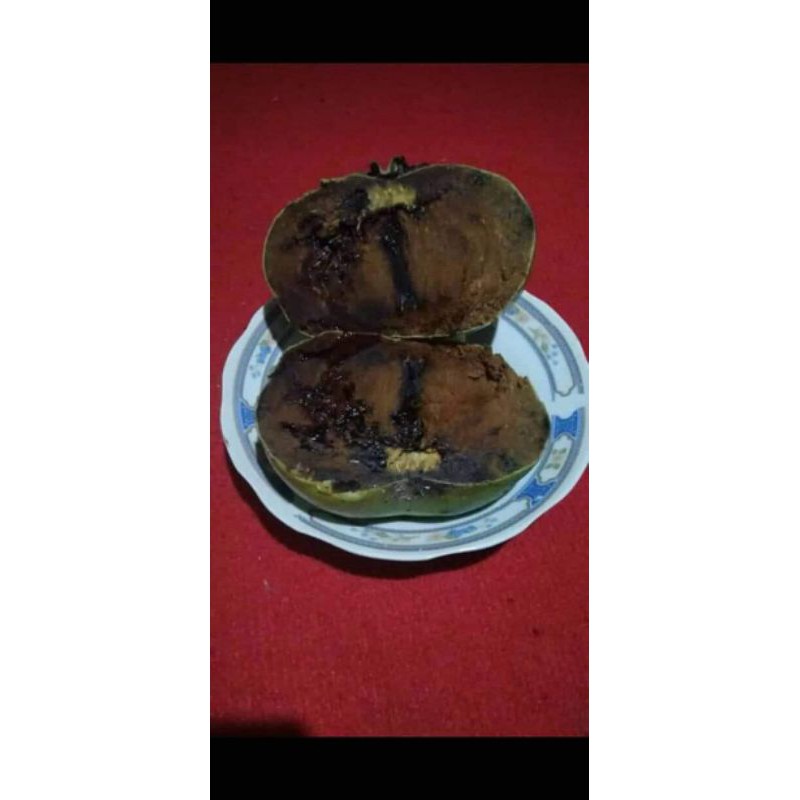 bibi sawo black sapote