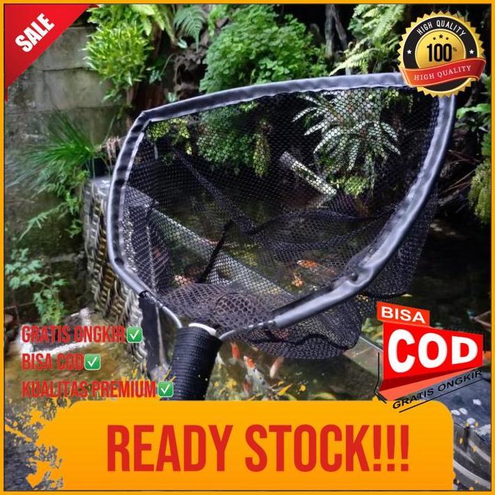 Seser Ikan Koi Besar Serokan Ikan Besar Kolam