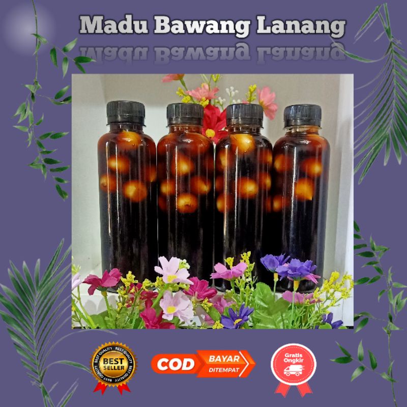 Madu Bawang Lanang - Madu Bawang Tunggal - Madu Bawang Putih Tunggal