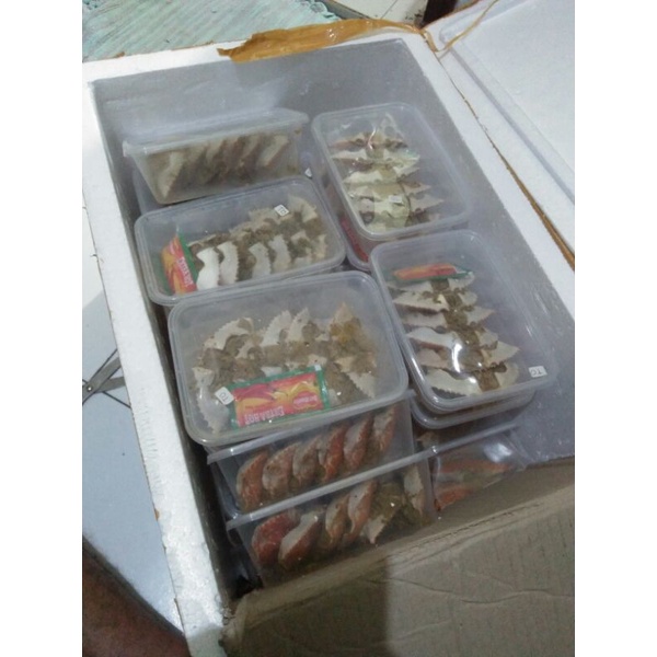 

RAJUNGAN KETAM