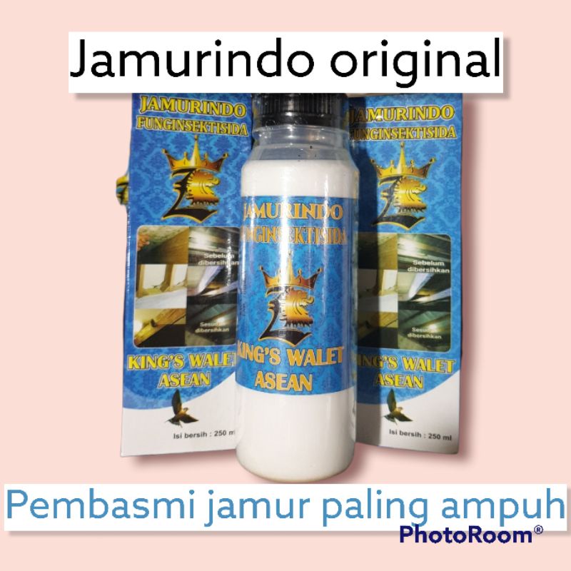 jamurindo kings walet asean