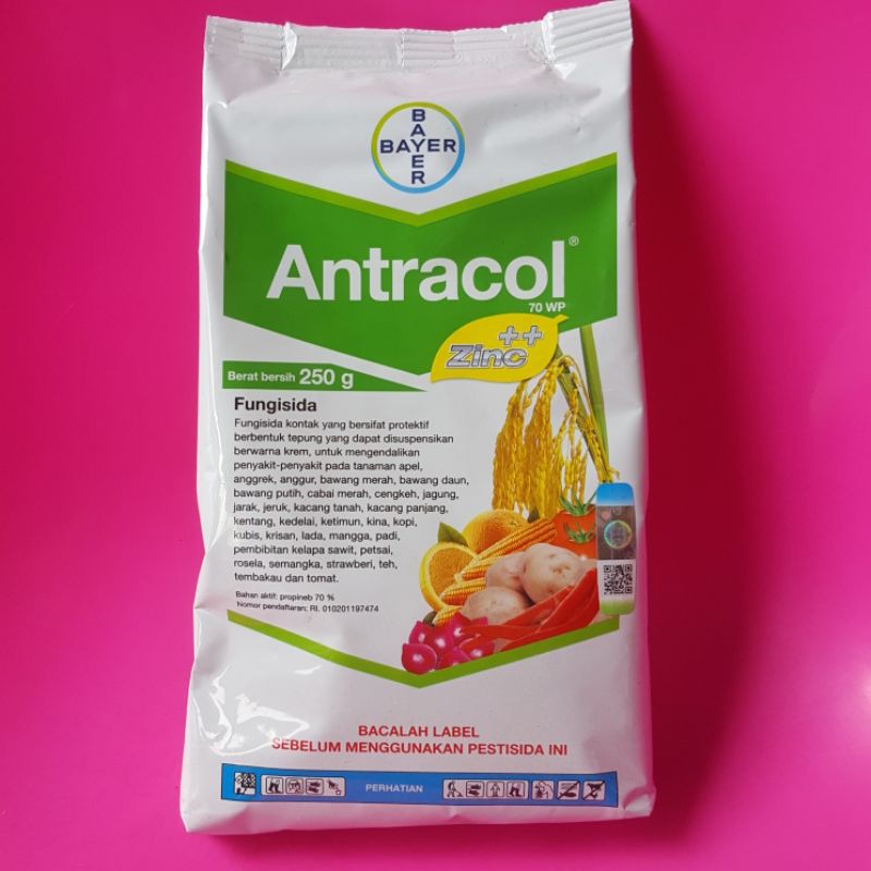 Antracol 70WP Plus Zinc 250Gr Fungisida Pengendali Hama Tanaman