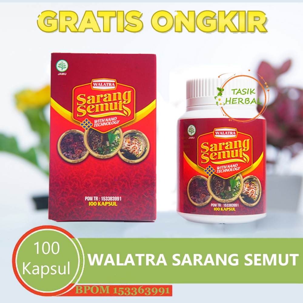 Obat Radang Ginjal - Infeksi Ginjal - Ginjal Lemah - Ginjal Bengkak - Walatra Sarang Semut Asli