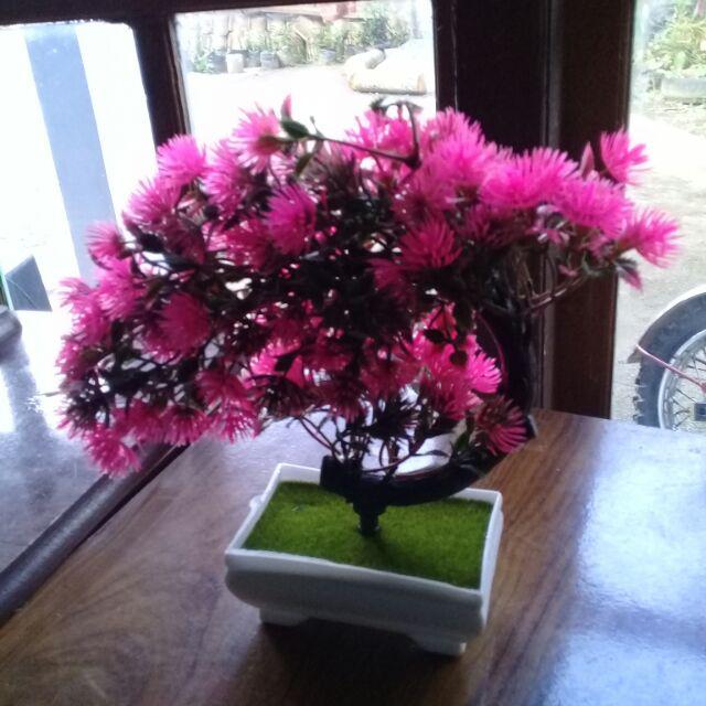 Es603 Bunga Hias Bonsai Sabit Jarum