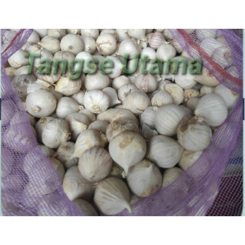 

Bawang Putih Tunggal 100 gram