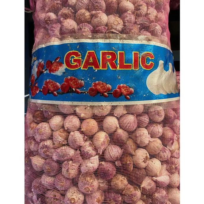 

Bawang putih tunggal jumbo 1kg - XL
