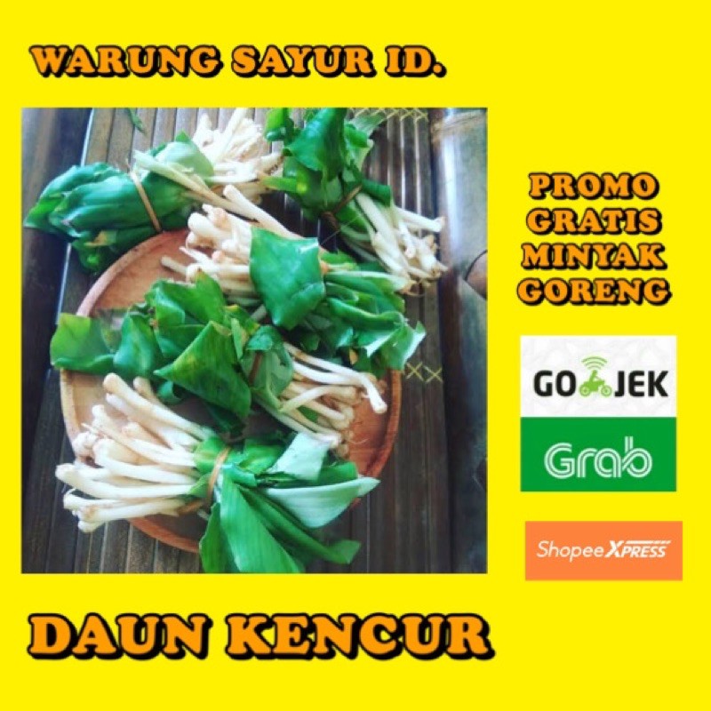

DAUN KENCUR 1 IKAT