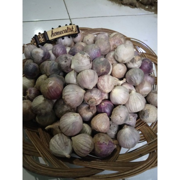 bawang putih tunggal 250gr / bawang putih lanang