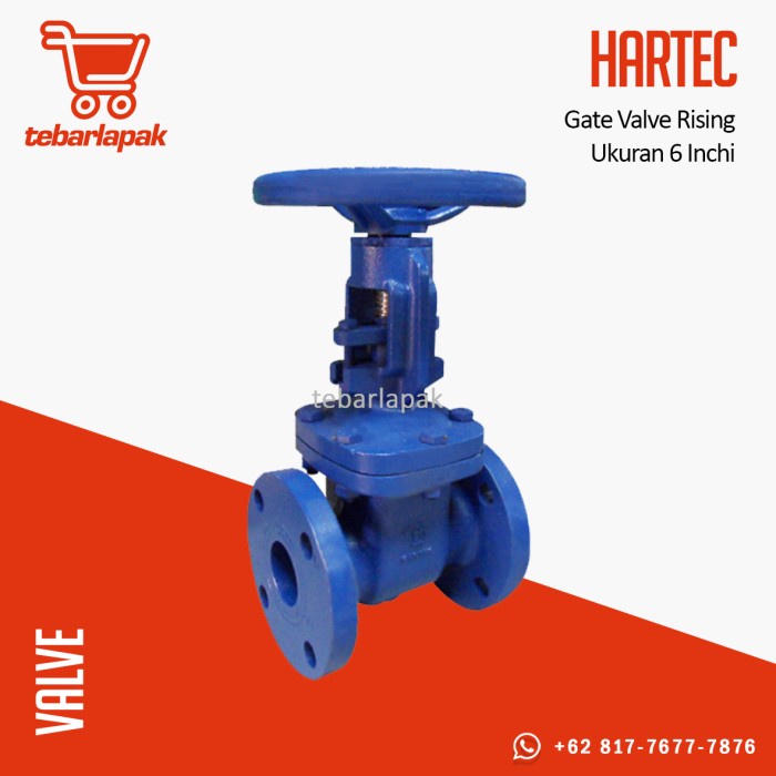 Gate Valve Rising 6"