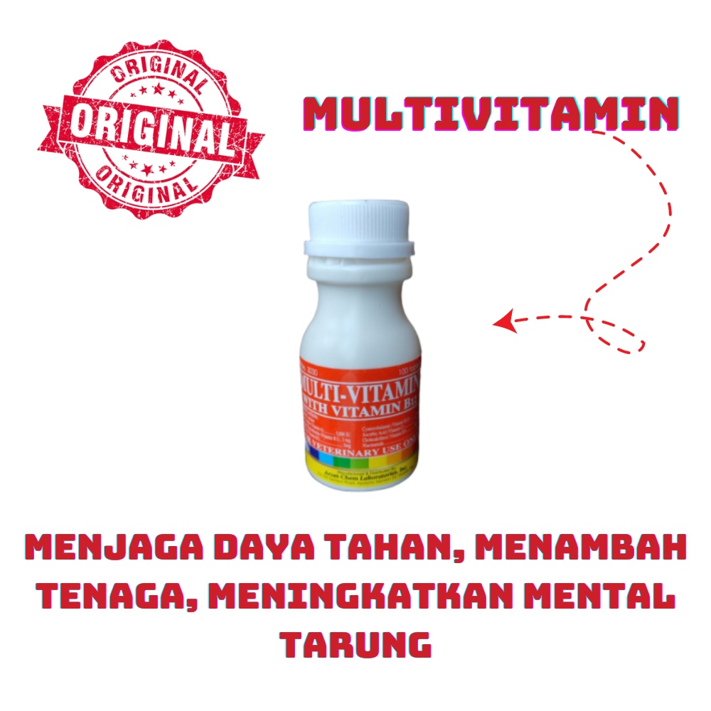 Multivitamin Ayam Filipina Arvet - Champ 100 Tablet