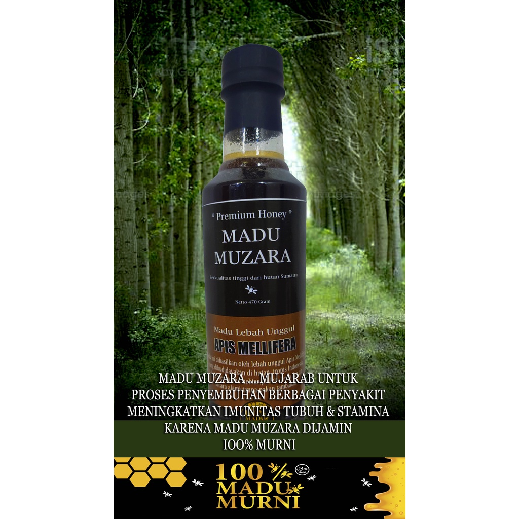 

Madu Muzara - Madu berkualitas tinggi dari hutan Indonesia 100 % Murni