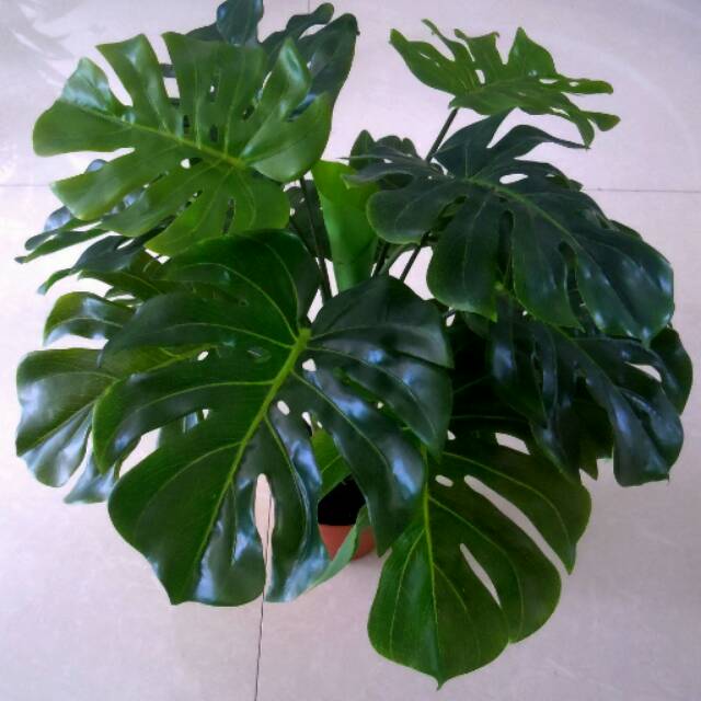 12 daun monstera  Bunga  artificial monstera  hanya daun 