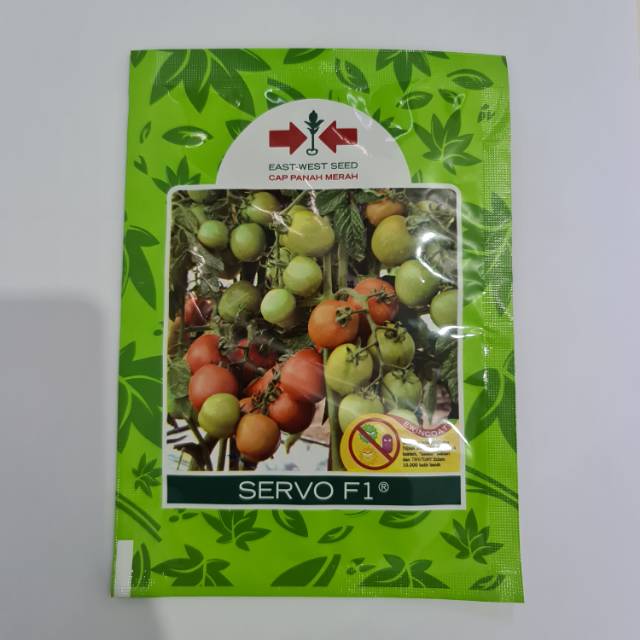 Bibit tomat(servo F1)