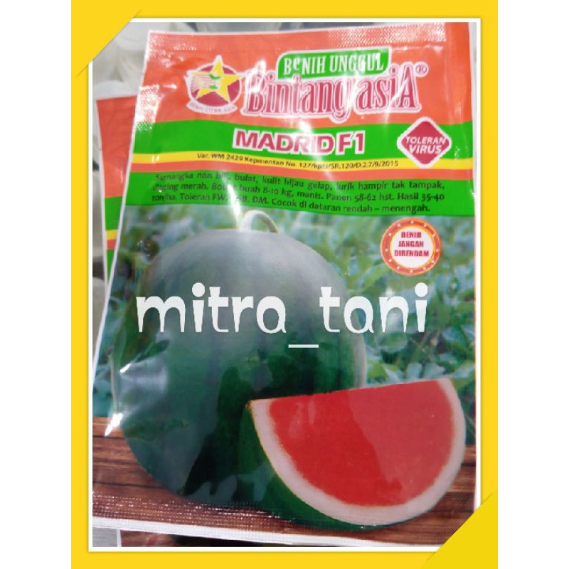 benih semangka non biji hibrida MADRID F1 20gram dari BINTANG ASIA