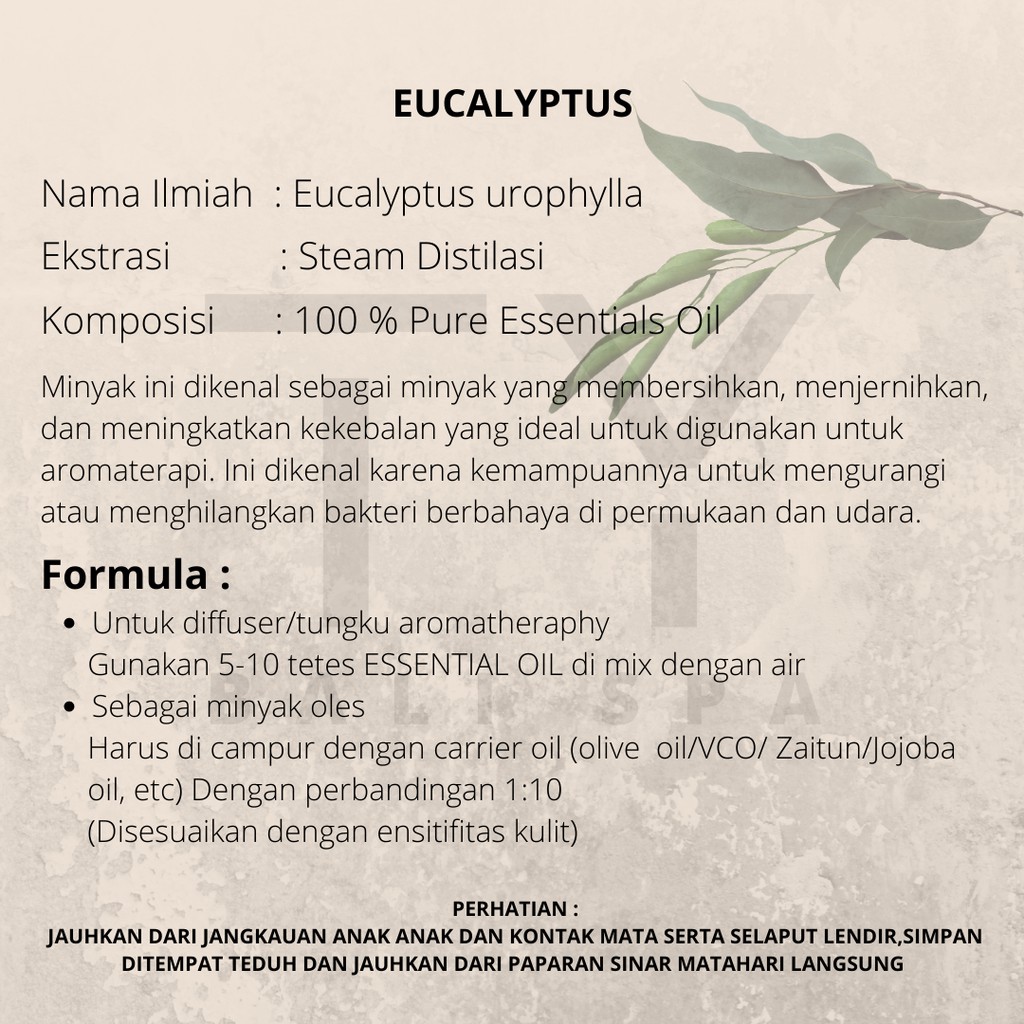 Pengharum ruangan minyak esensial oil burner Eucalyptus / aromaterapi Minyak Atsiri Eukaliptus