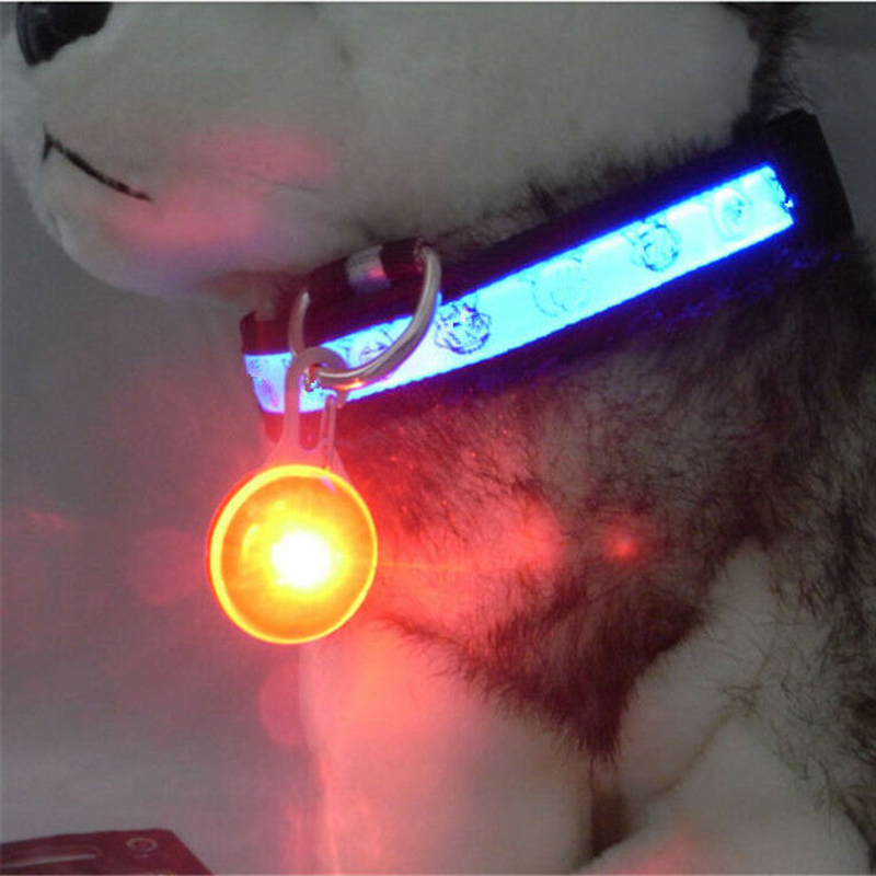 Mini Pet Safety LED Night Light Collar Pendant Dog Kitten Puppy Flashing Pendant Pet Products Colorful