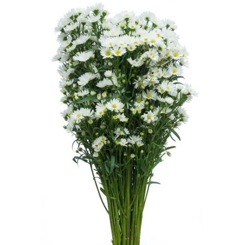 TOKO BUNGA BANDUNG / BUNGA PIKOK PERTANGKAI