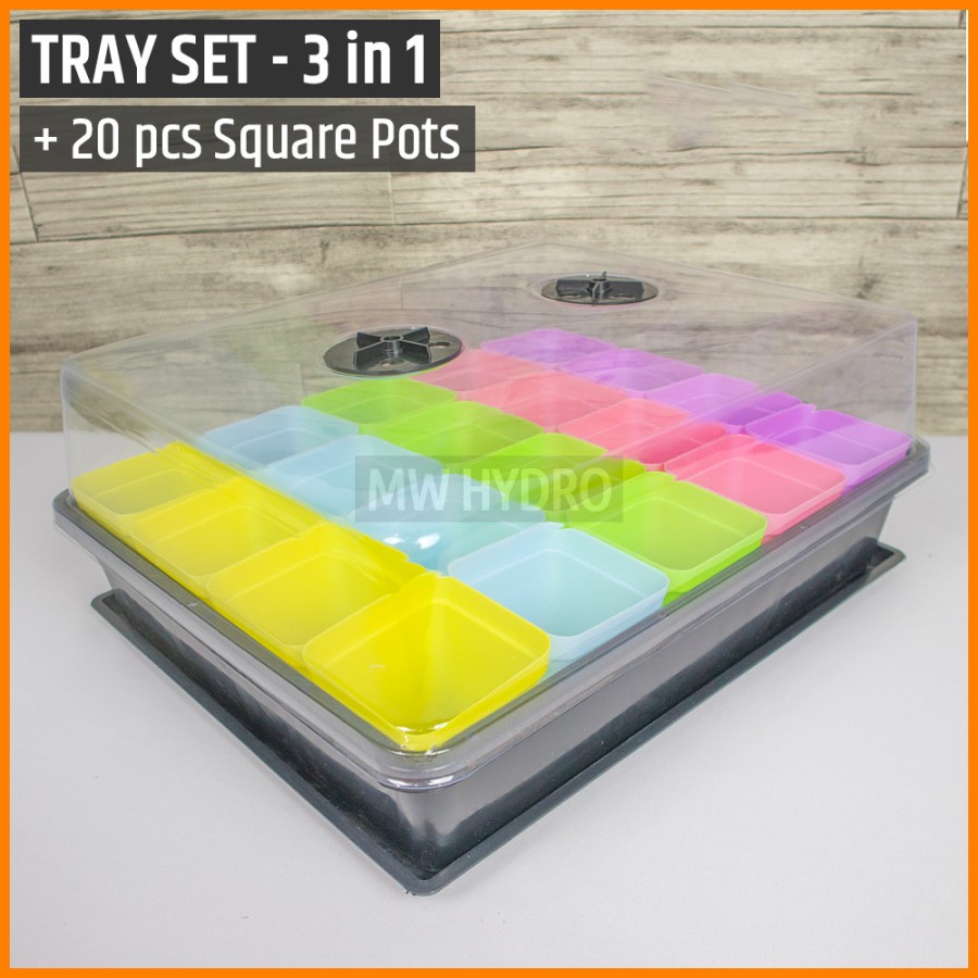 Tray + Base + Cover (3 in 1) INCLUDE 20 pcs 7cm Square Pot / Pot Kotak