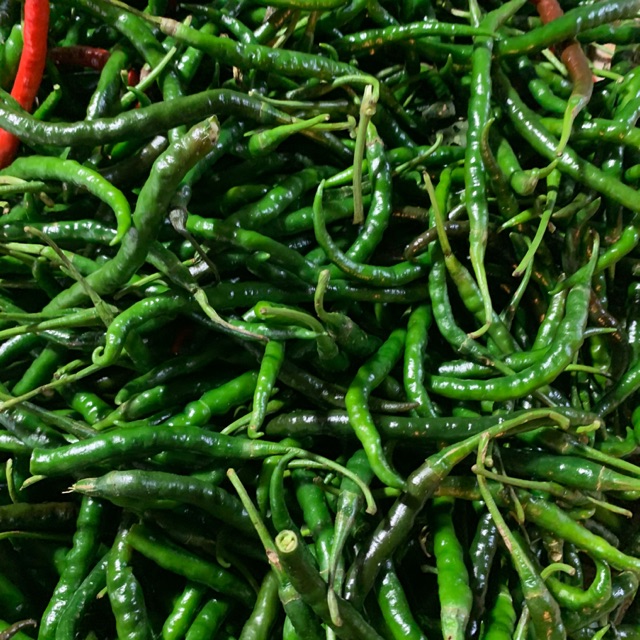 

Cabe hijau keritiing