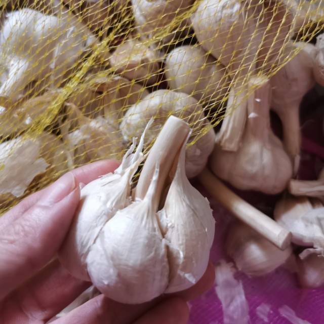 

Bawang Putih Organik || 250-500gram || Organic Garlic