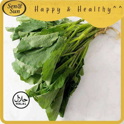 

Sen&Sun Kailan Organic 250 gr