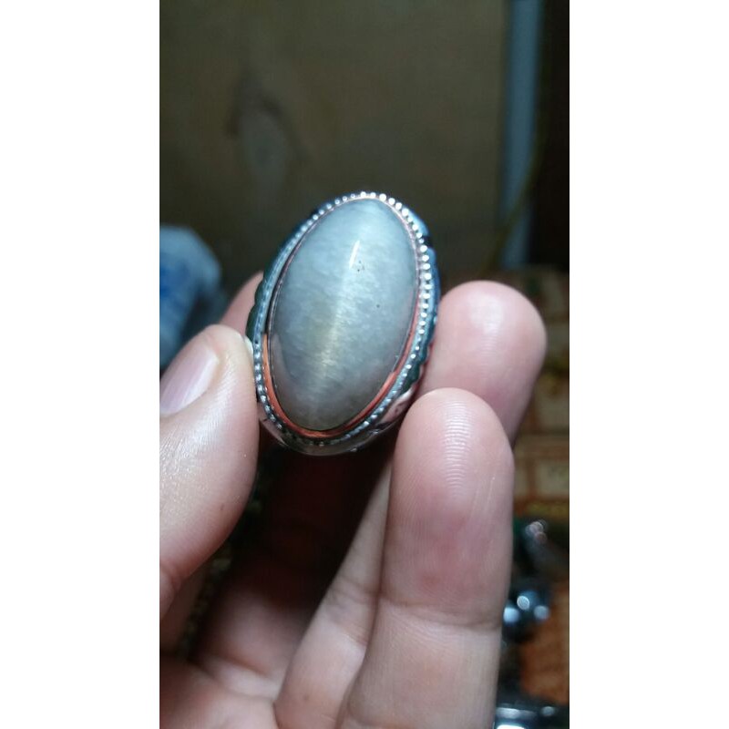 pandan kapas lumut kristal