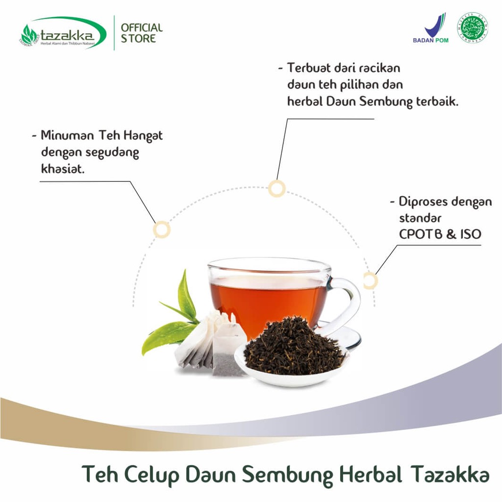 Obat herbal khasiat ampuh teh daun sembung original tazakka alami tanpa efek samping berkualitas