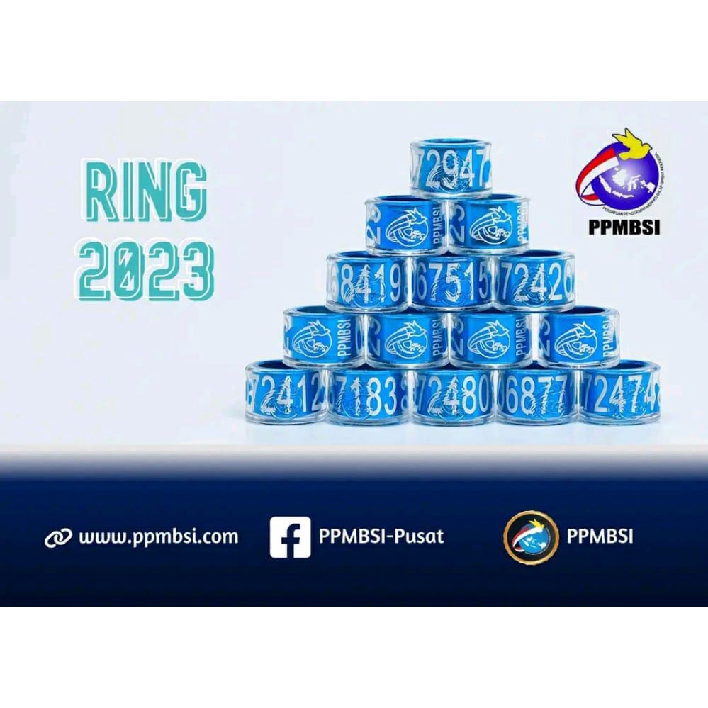 Ring Pusat PPMBSI 2023 Merpati Balap