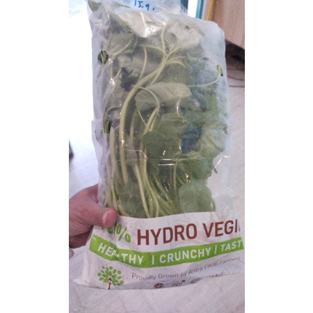 

Bayem Hydroponic 500gr