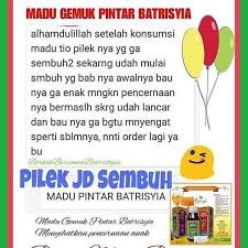 Madu Gemuk Pintar Batrisyia, Penambah Nafsu Makan dan Berat Badan Anak