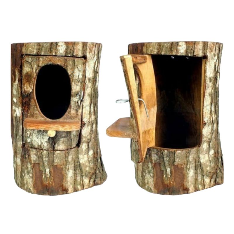 Glodok Kayu Lovebird Kenari Murai Kacer / Sarang Burung Kayu Glodok