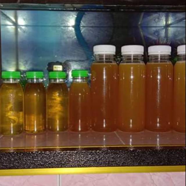 

Madu kelulut