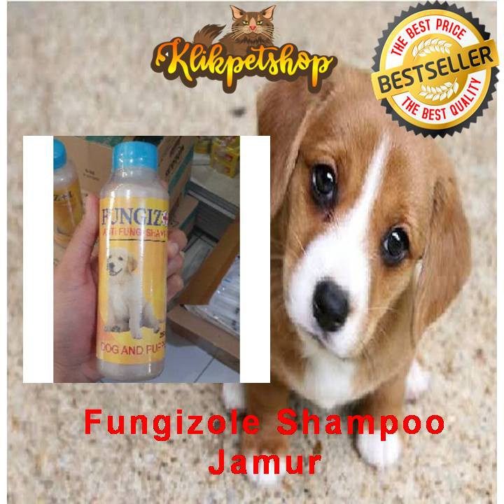 FUNGIZOLE SHAMPOO JAMUR ANJING