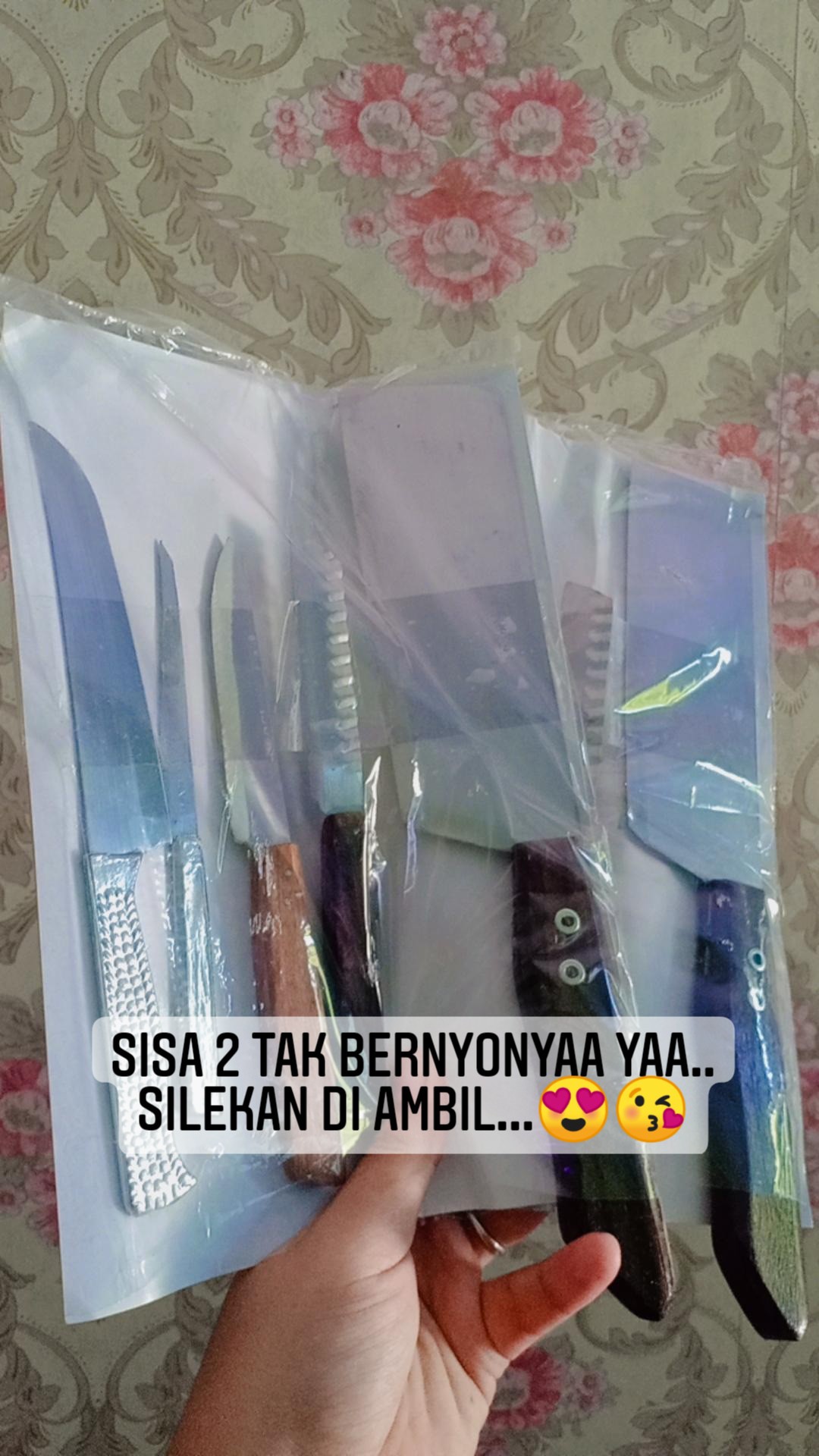 Promo Pisau Dapur Murah 1 Set Isi 5 Bahan Stainless Anti Karat