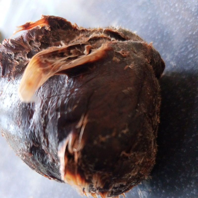 

propolis mentah 250 gram bersih dari polen dan madu