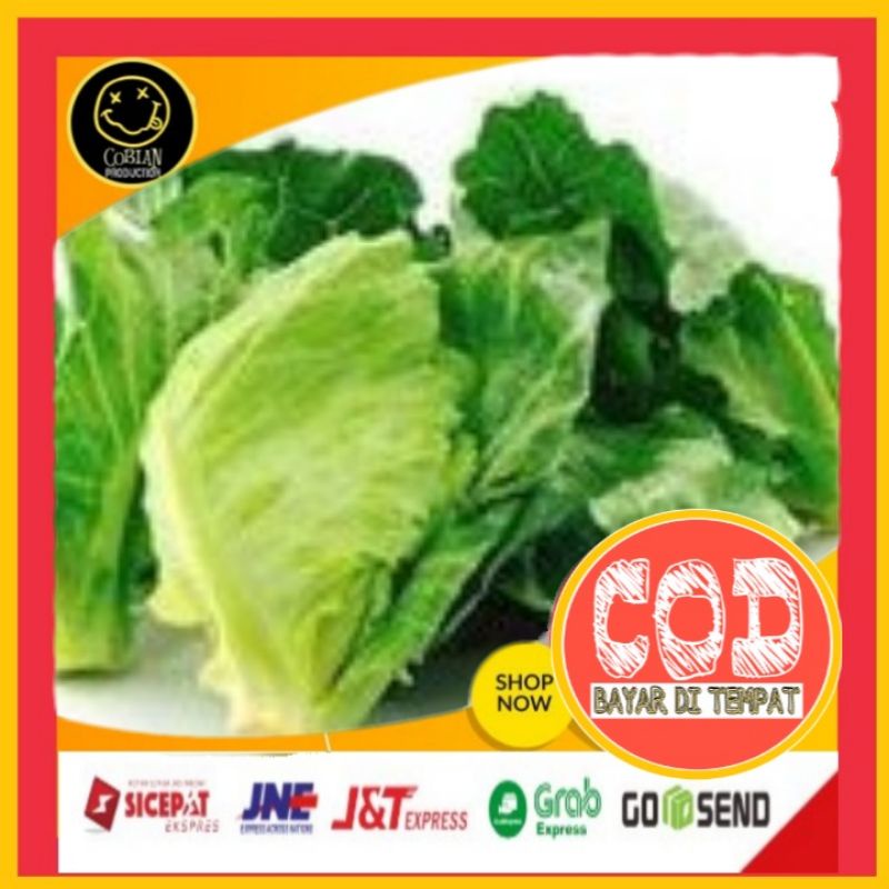 

Sayur Ceriwis Kiciwis 250g Sayuran Segar Sayuran Fresh Sayuran Organik Sayuran Online Terlaris