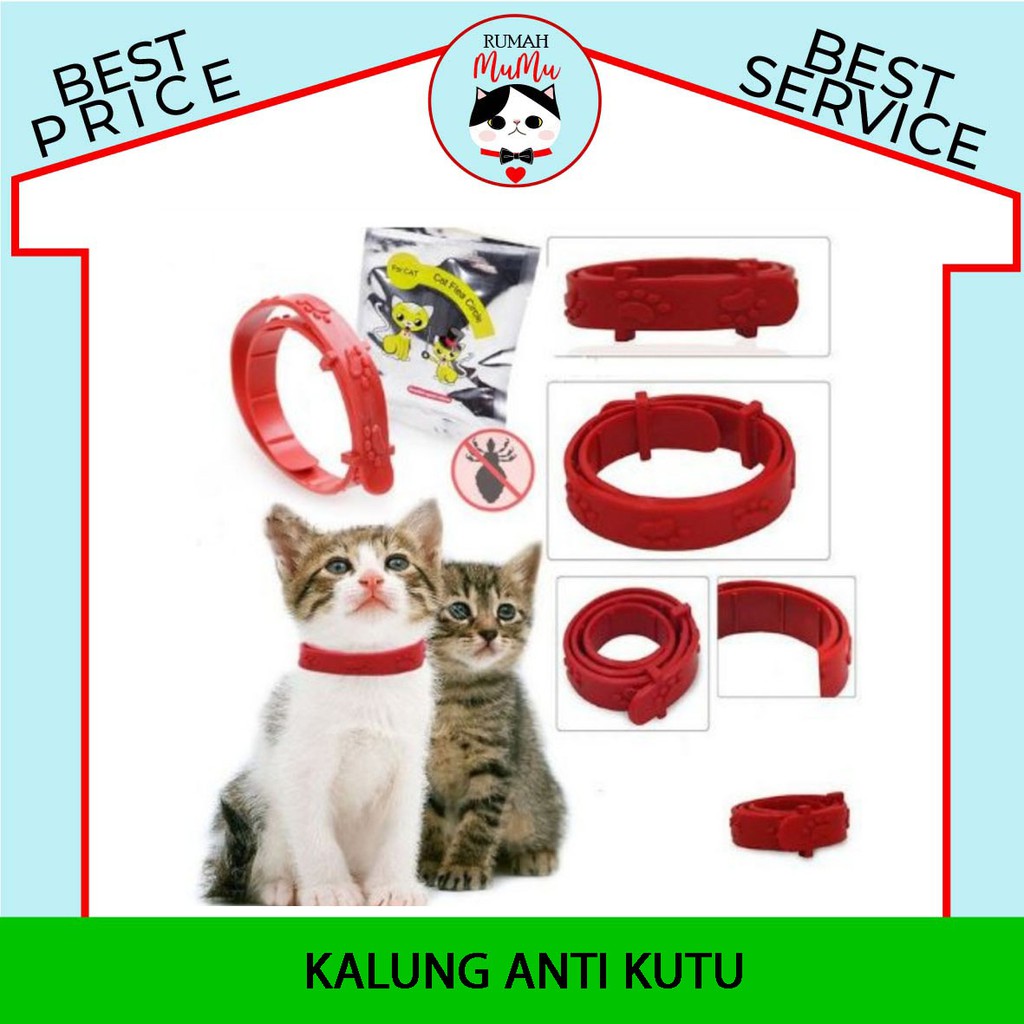 KALUNG ANTI KUTU KUCING ANJING MURAH AMAN