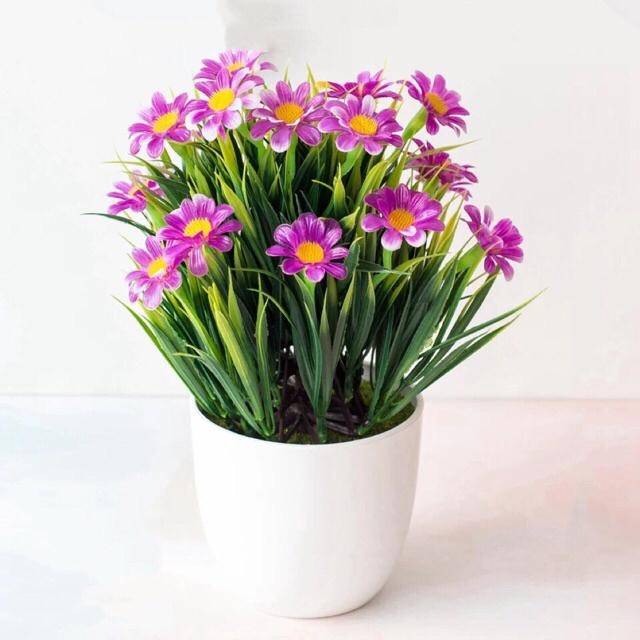 NM352 Bunga plastik / pajangan bunga Artificial / motif Daisy/Vas Bulat-7