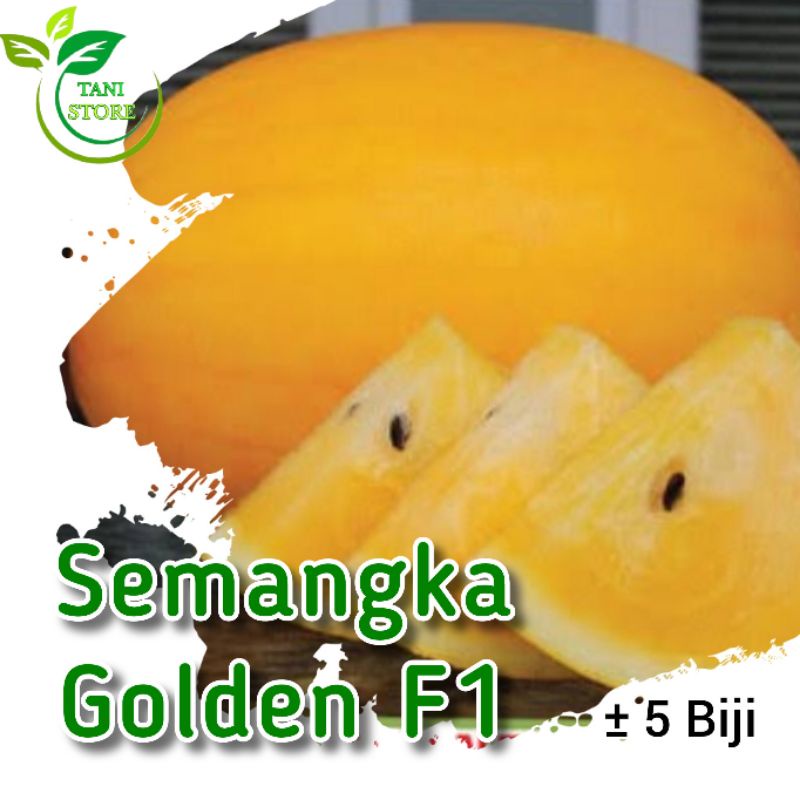 ±5 biji benih semangka golden kuning F1_bibit semangka